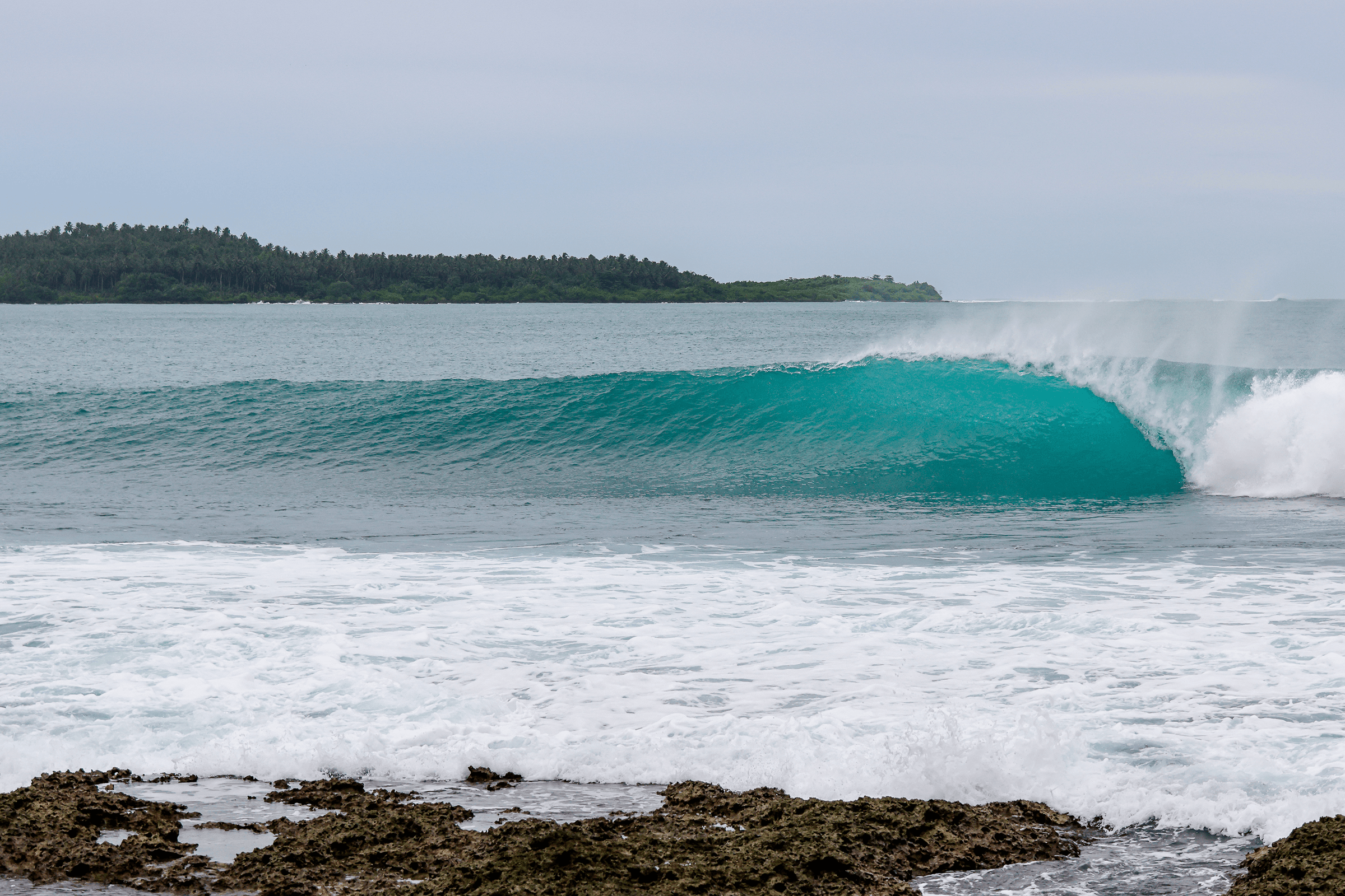 surf-player aspa Surfing Development Courses